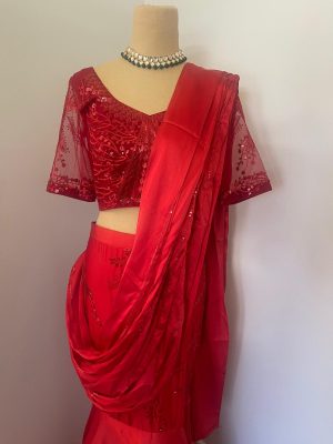 Saree Lehenga with cancan - Image 3