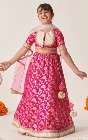 Zari Brocade Lehenga Choli Set - Image 1