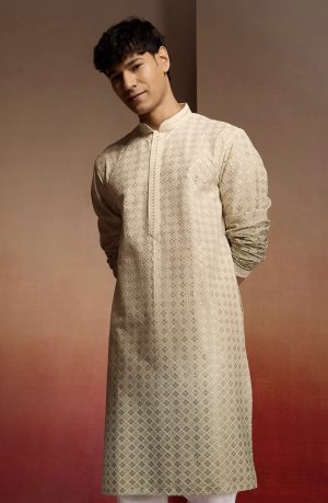 Embellished Cambric Cotton Ombre - Image 3