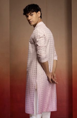 Embellished Cambric Cotton Ombre - Image 8