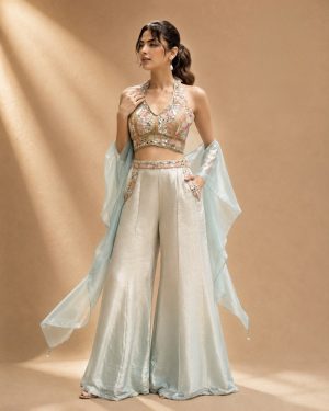 Embroidered Palazzo - Image 1